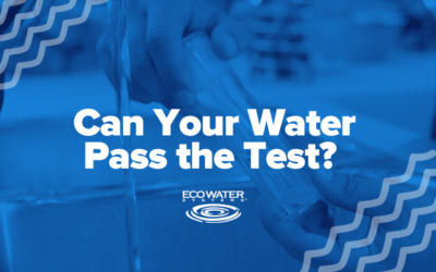 Can Your Water Pass the Test?