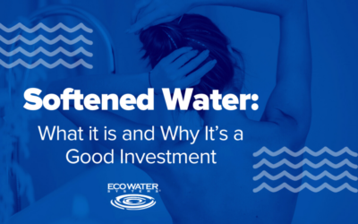 Softened Water: What it is and Why It’s a Good Investment