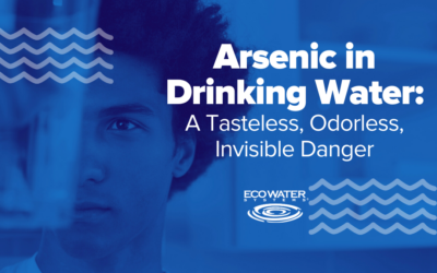 Arsenic in Drinking Water: A Tasteless, Odorless, Invisible Danger