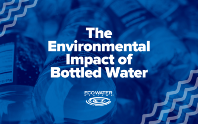 The Environmental Impact of Bottled Water