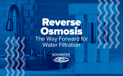 Reverse Osmosis: The Way Forward for Water Filtration